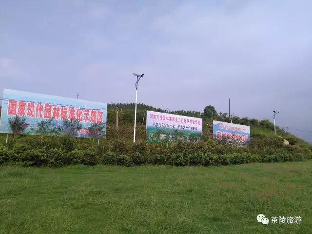 茶陵万樟园林地址图片