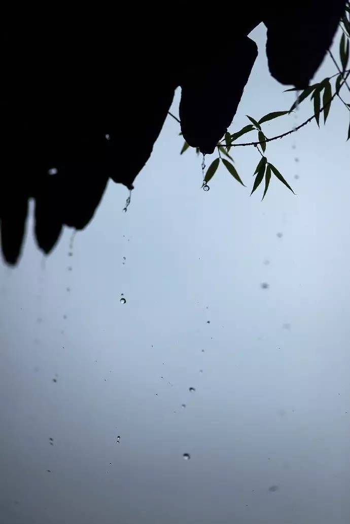 雨声销夏风起近秋