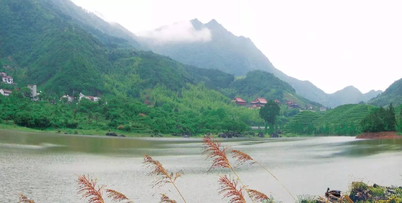 雨後放晴,40秒帶你遊覽金華山最美的風景