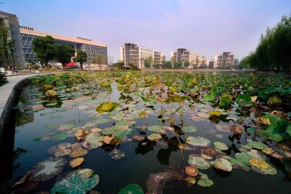 學校現有杭州城區,富陽高橋,建德嚴州三個校區,擁有面積近3.