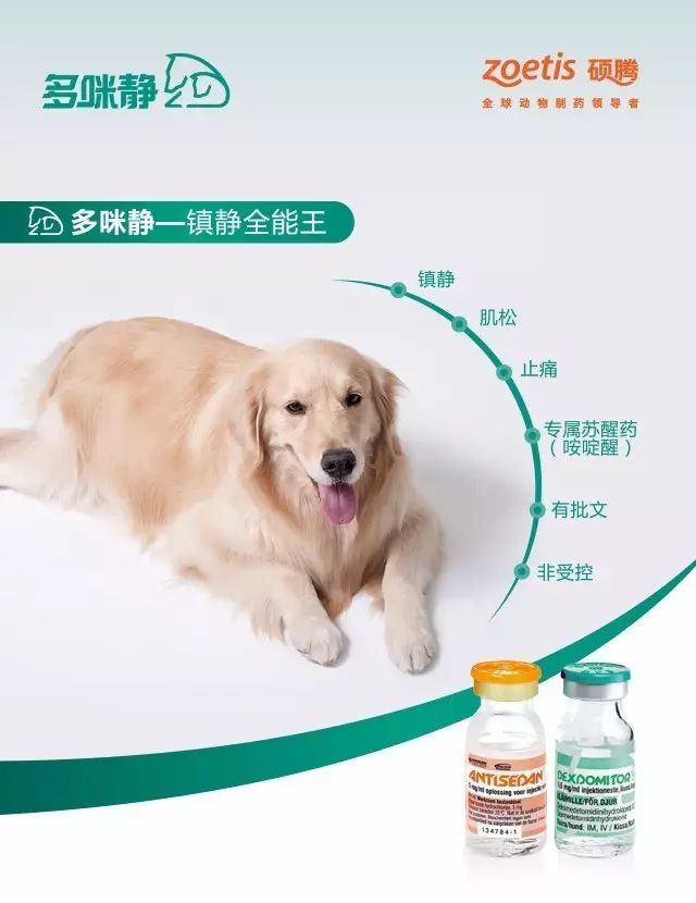 猫咪快速苏醒狗狗快速苏醒使用咹啶醒使用多咪静vs不使用多咪静使用多