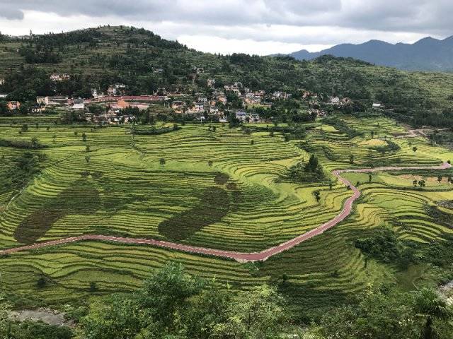 明天11点余庆红渡有场直播,准备围观