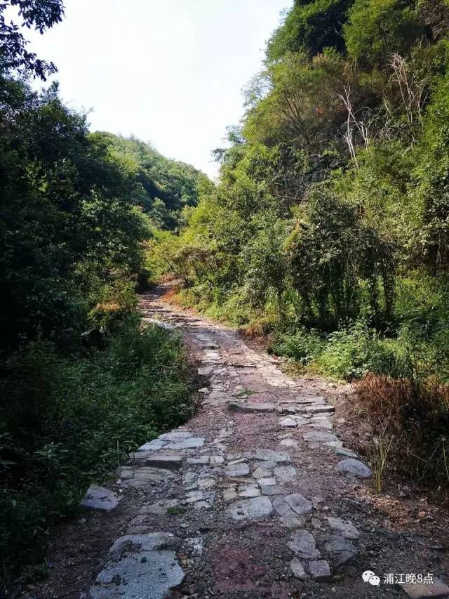 浦江一古道直通千年古寺 已修缮一新 约吗?