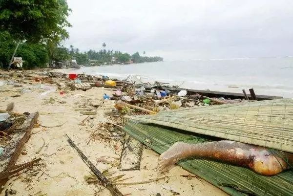 印尼海啸女尸图片中国图片