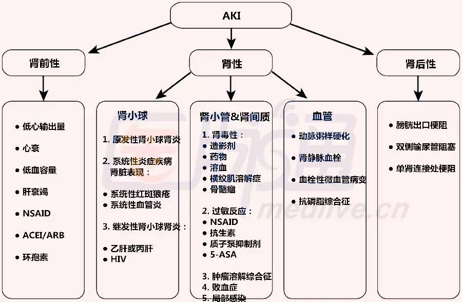 圖表急性腎損傷的病因和治療