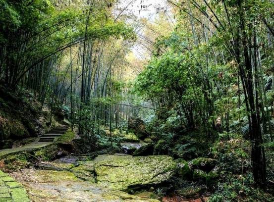 【十一自駕活動】大美蜀南竹海,最美峨眉山9日自駕之旅(9月30日-10月8