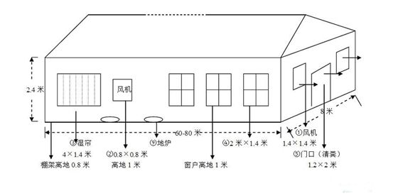 鸡场规划图 总平面图图片