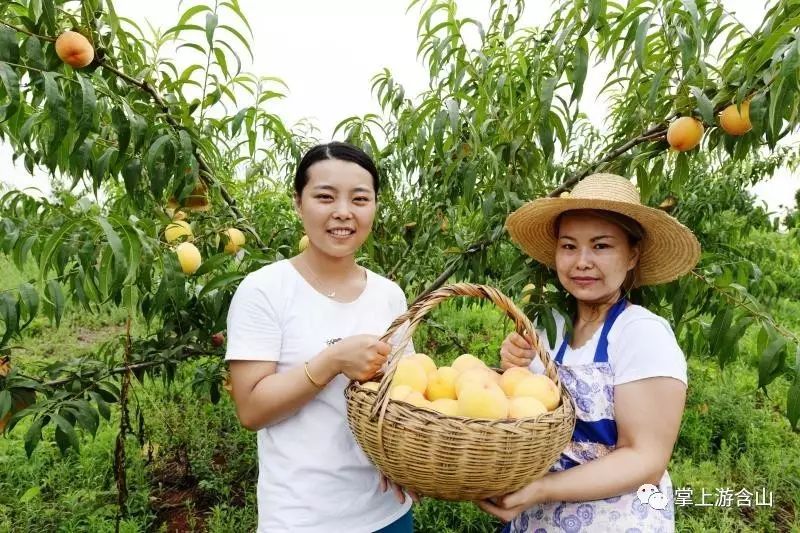 百千万工程使村民露笑脸