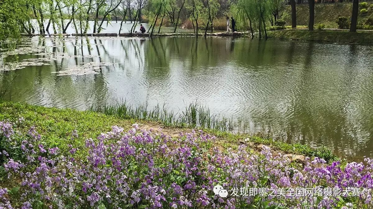 俯瞰环秀湖 钟坤绩