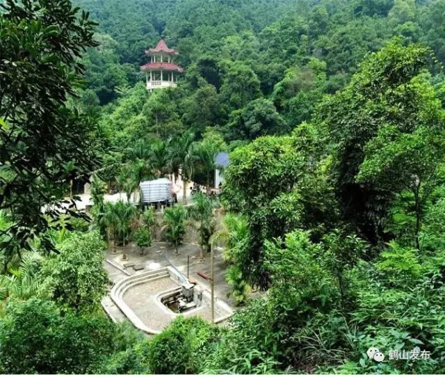 震驚一條微信告訴全世界未來鶴山將變森林