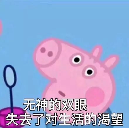 搞笑表情 | 小豬佩奇表情包