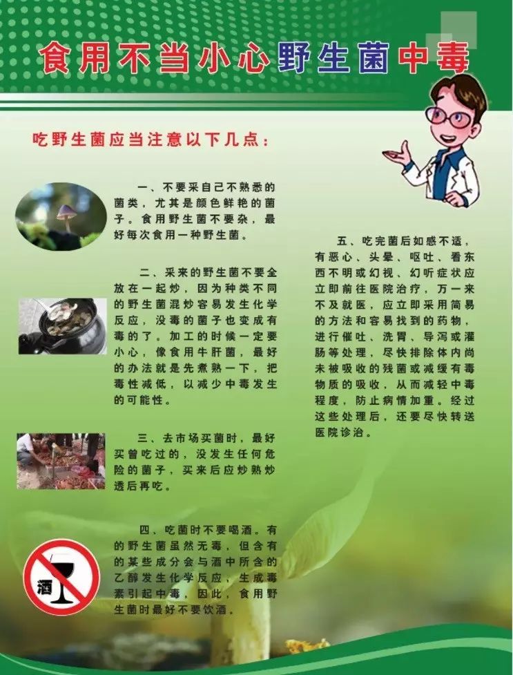 禁食野生菌宣传标语图片