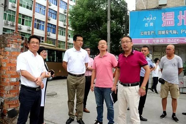 陈显宏督查省级卫生镇复评工作:立整立改找问题 标本兼治抓落实