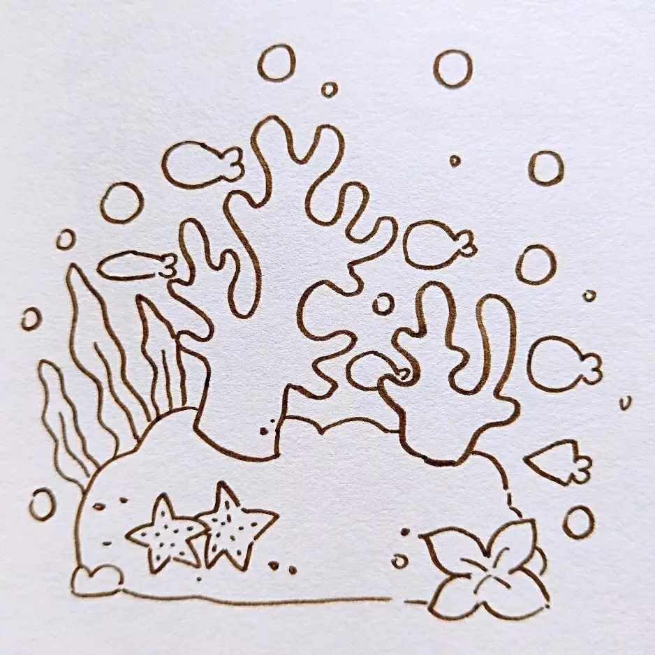 海底珊瑚简笔画画法图片