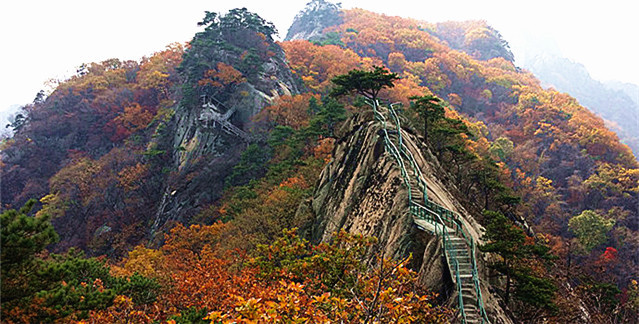 【十一丹東遊】丹東鳳凰山.玻璃棧道.虎山長城.鴨綠江遊船二日遊!