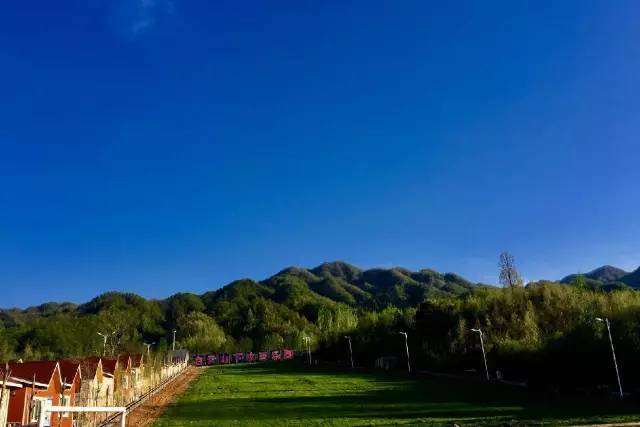 來白雲小鎮住木屋別墅免費採野生獼猴桃免門票遊白雲山木札嶺景區快來