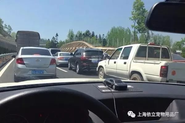 《高速公路上遇到堵车,女同胞怎么解决尿急》