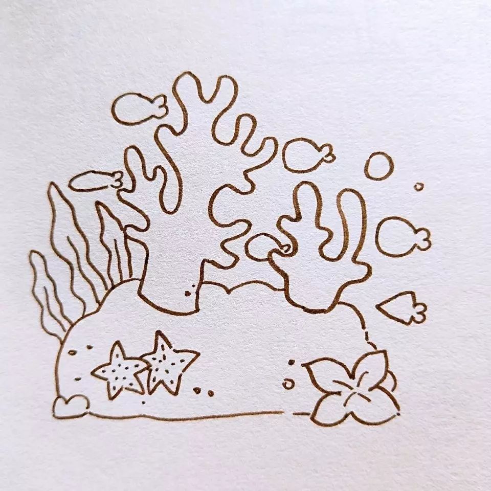 海藻简笔画珊瑚图片