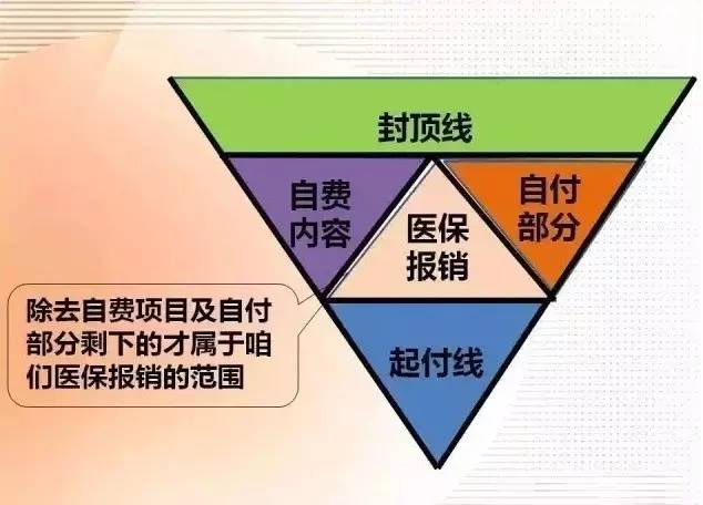 社保报销v型图的讲解图片