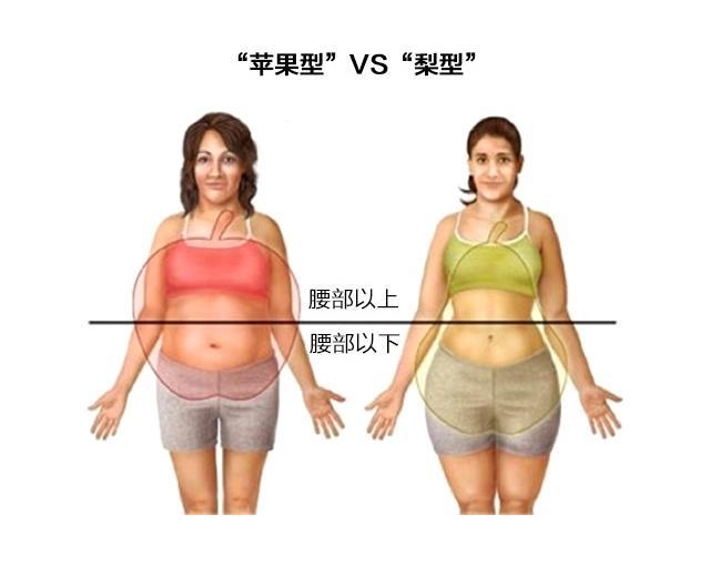 胖瘦对比照图片 区别图片