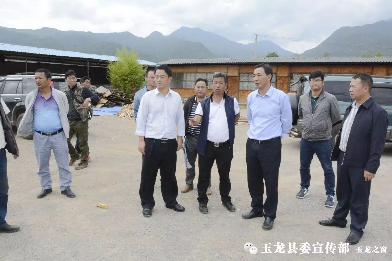 玉龙头条曹金明到拉市检查指导旅游及生态环境整治和马场归并工作推进