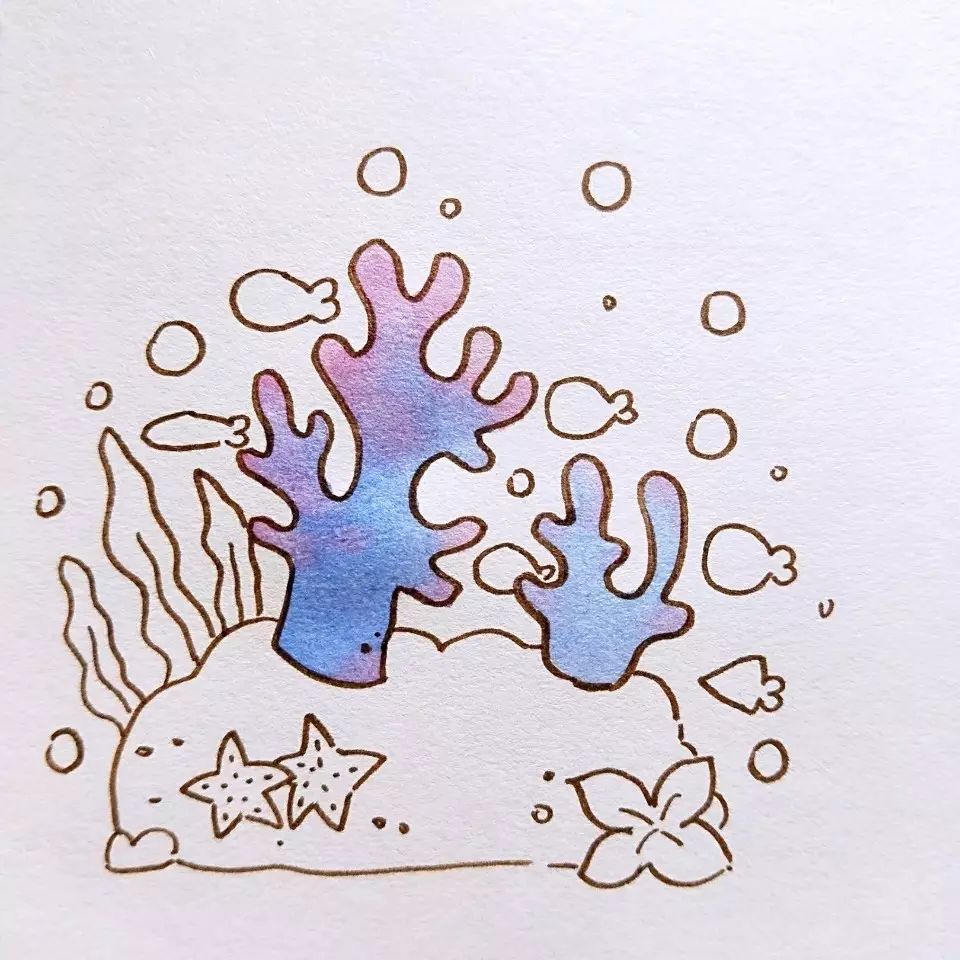 海藻简笔画珊瑚图片