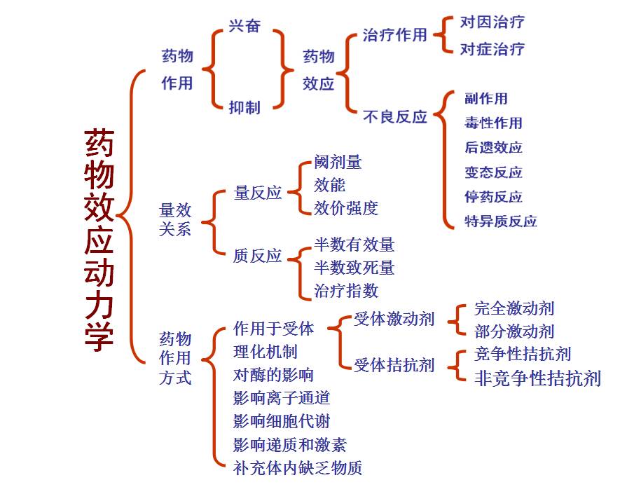 受体理论与药物效应动力学