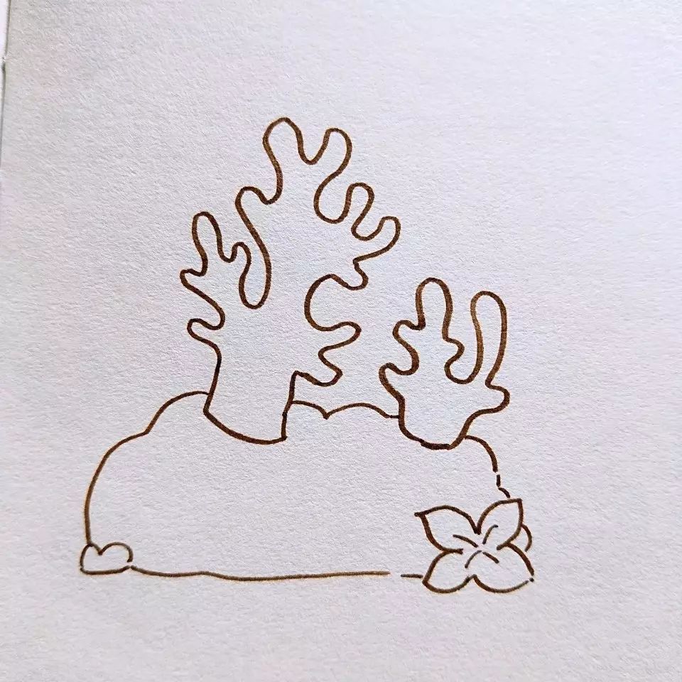 海藻珊瑚的简笔画图片