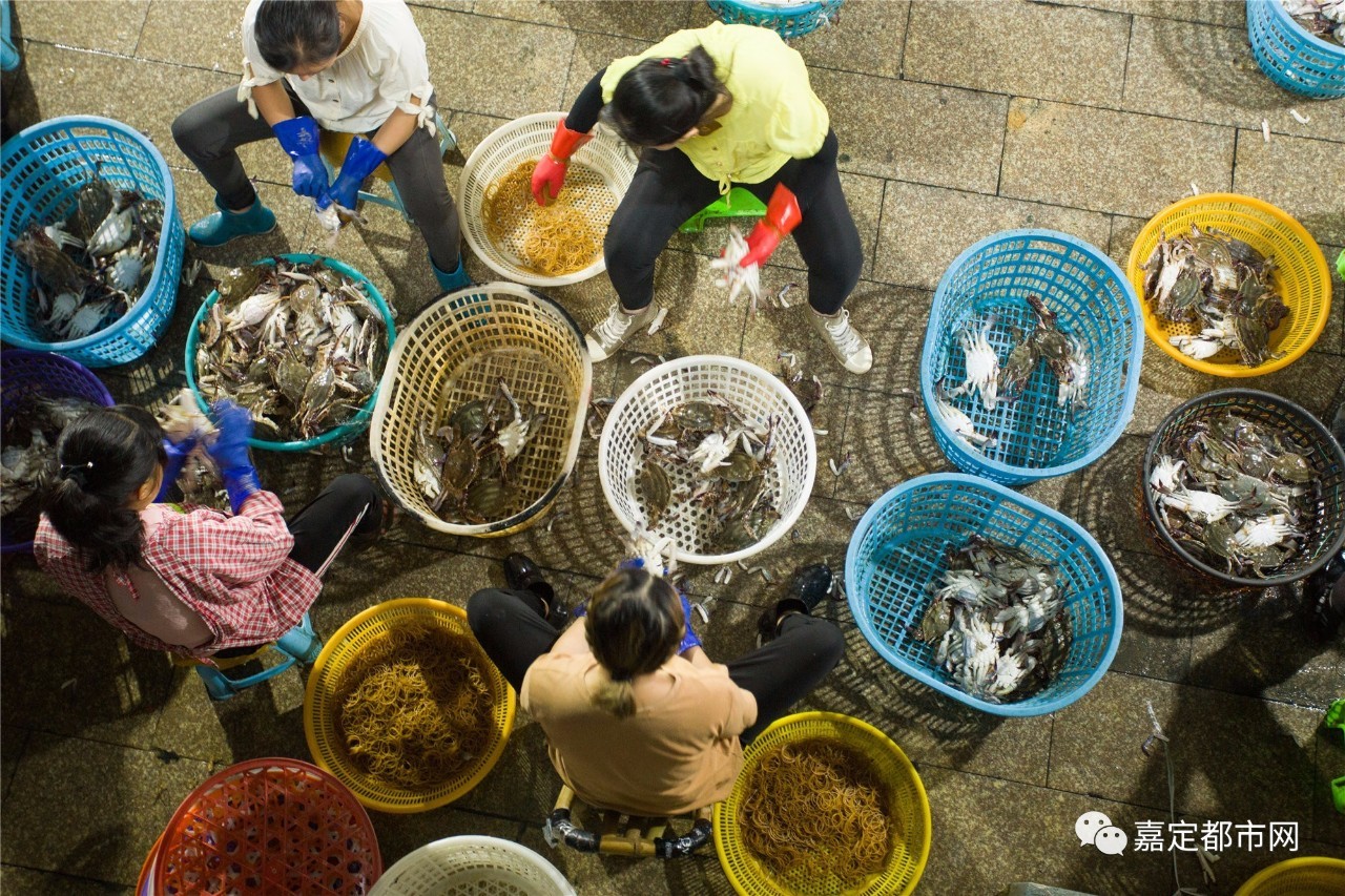 舟山直撈跨越280公里就能吃到生猛海鮮嘉定這家店堪稱海鮮界霸王