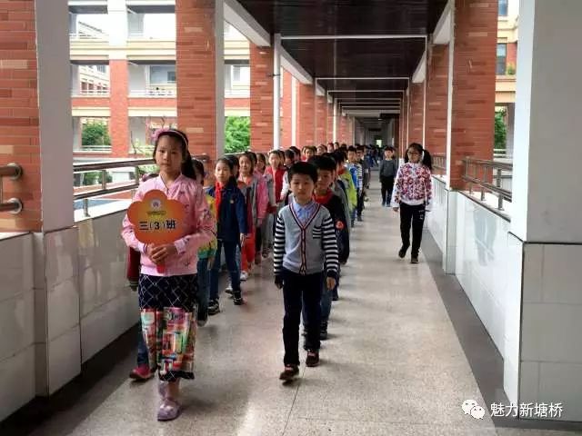 塘桥中心小学图片