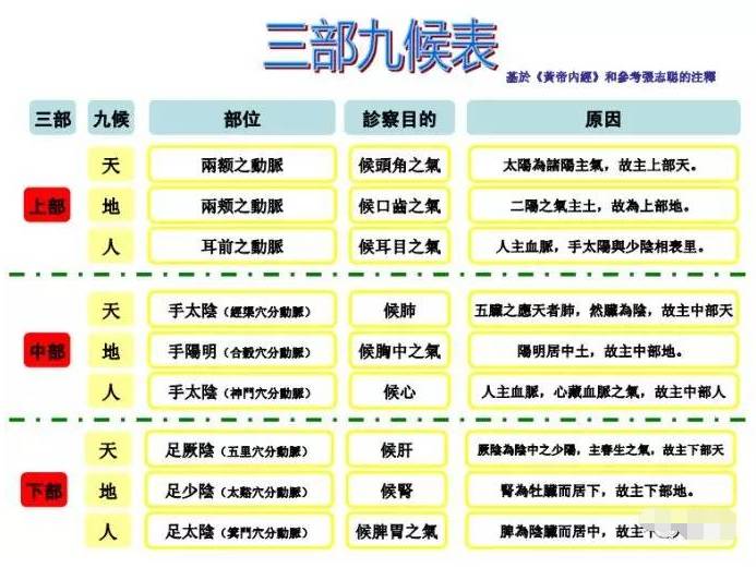 三部九候脉诊位置图图片