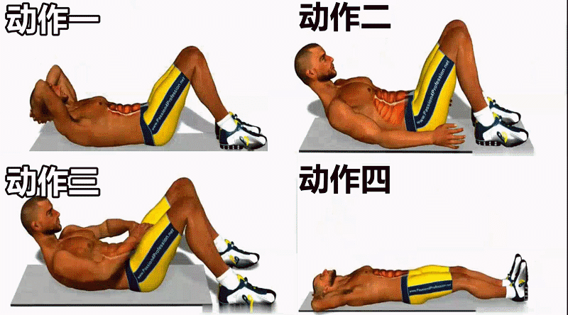 锻炼腹肌的动作动态图片