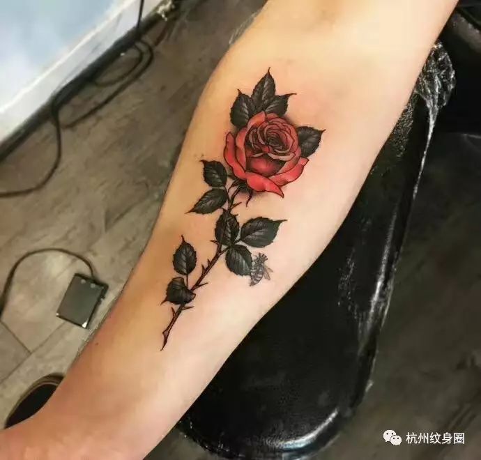 tattoo紋身素材玫瑰