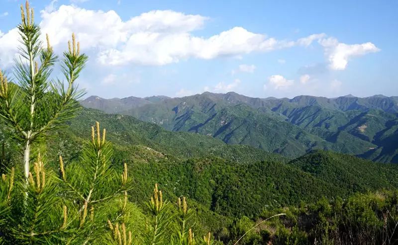 晋中霍山图片