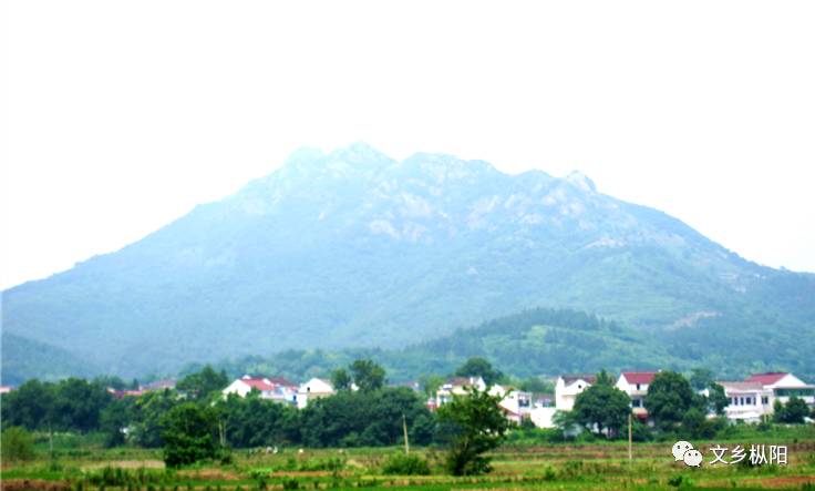 枞阳名胜柳峰山枞阳的林海雪原