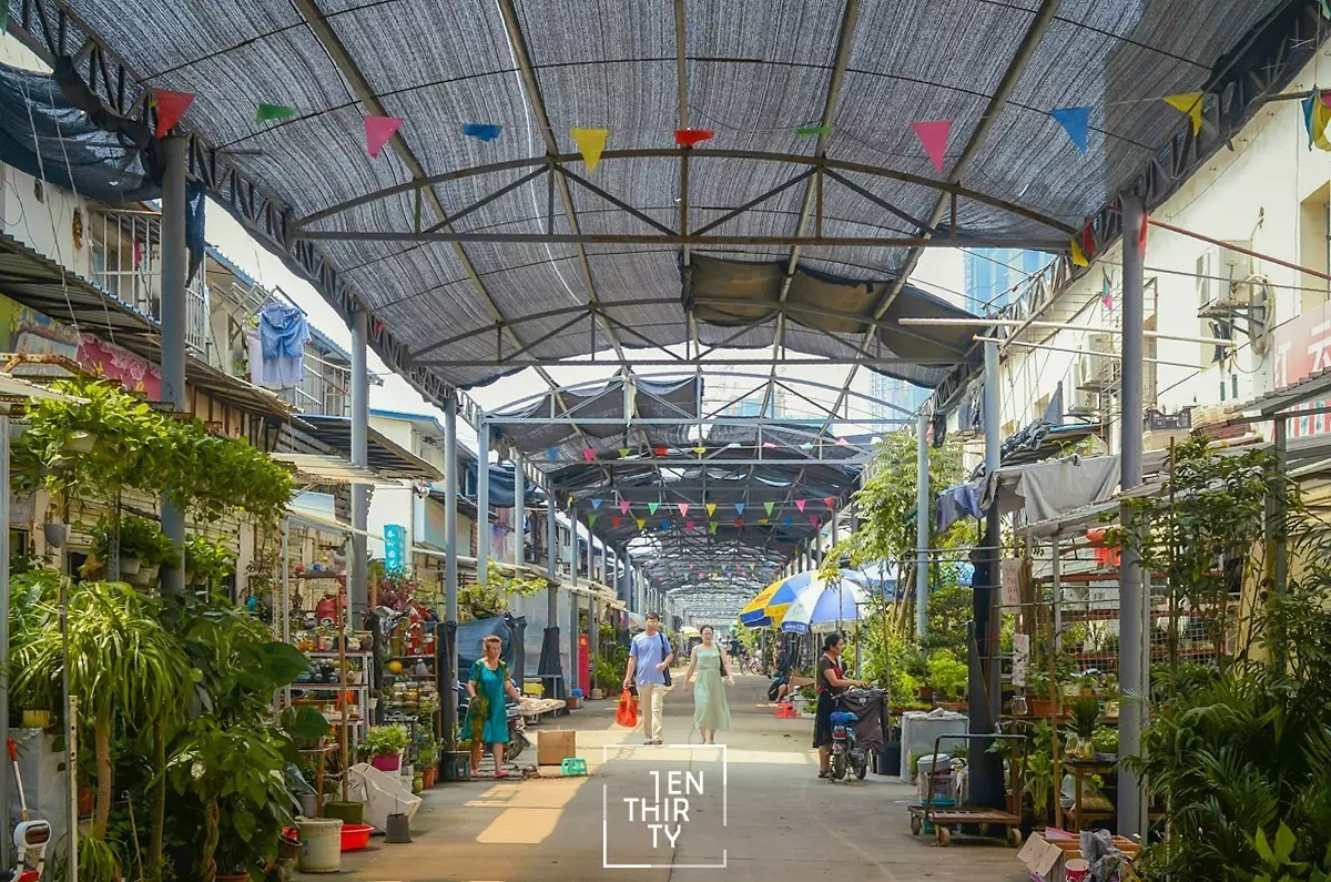 武汉堤角花鸟市场图片