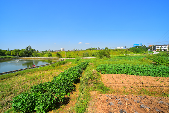 嶽池花園鎮積極作為全力打好