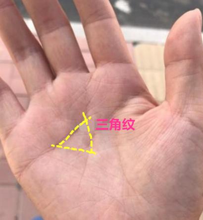 这个人手中的出现比较明显的;三角纹;,但是感情线并不长,夫妻之间容易