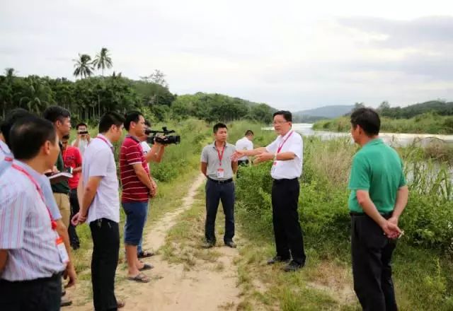 陵水县委书记麦图片