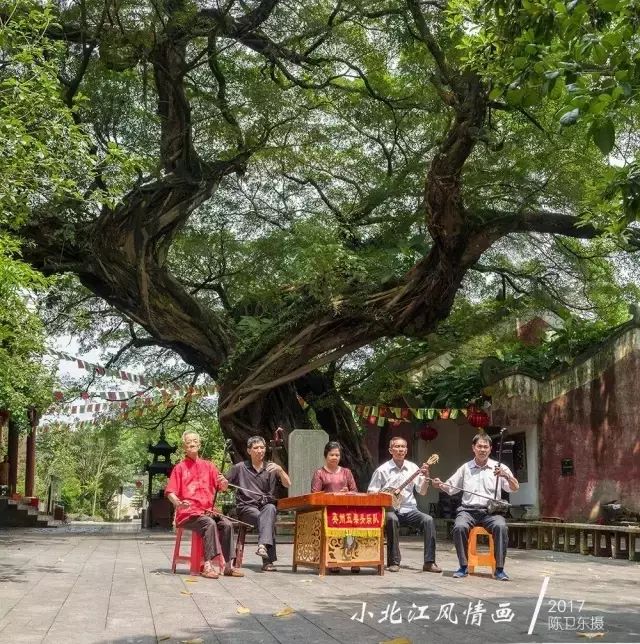 這棵千年古榕前方是黎溪鎮區前面是豐盛古寺此乃天地獨厚之地三面臨水