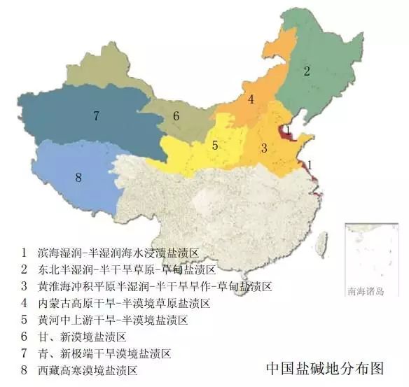中国三大盐碱地图片