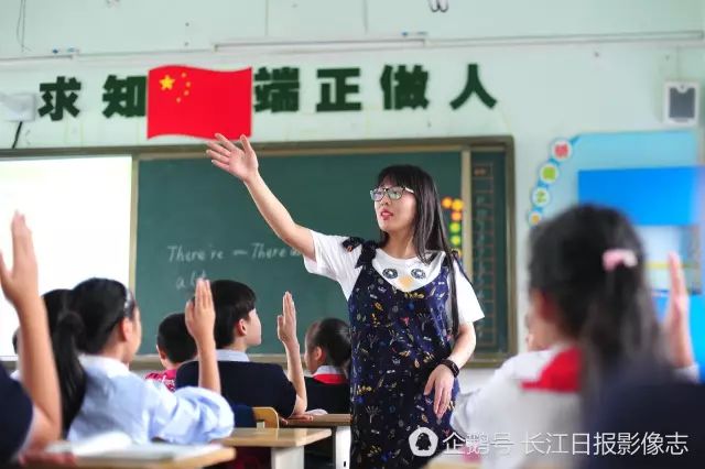 小学科学老师专业要求(小学科学老师专业要求有哪些)