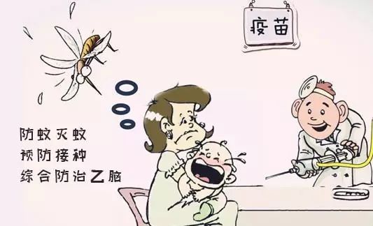 1接种乙脑疫苗是预防乙脑的有效措施