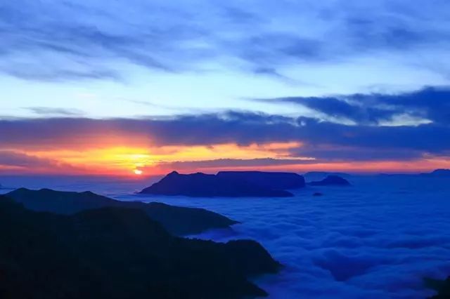 繁茂的森林,有著