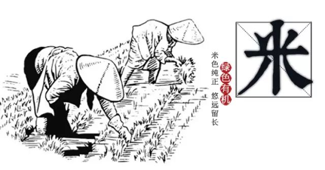 稻花香有機大米——高端人士專屬有機農場 榮譽出品