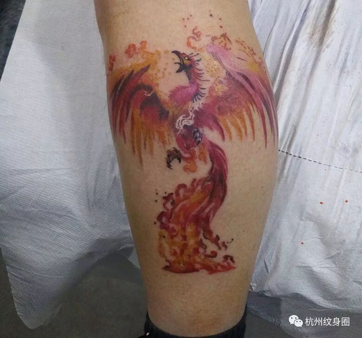 tattoo紋身素材鳳凰