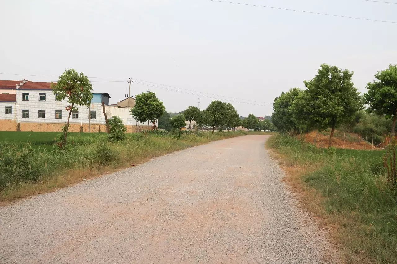 当前重点民生建设:白沥畈村道路硬化工程(下畈至新蒋大路,新蒋至铁店