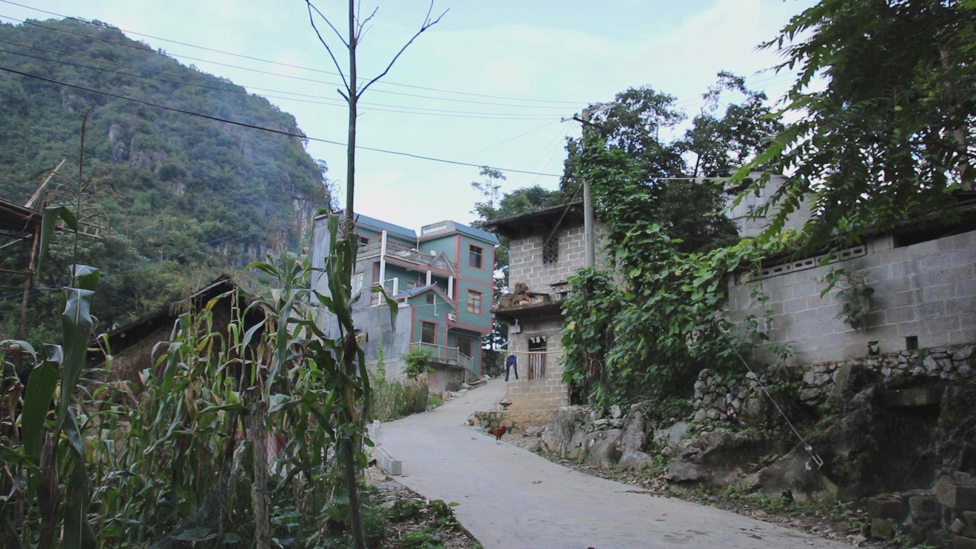 他们,便是广西百色市隆林县科沙村天生桥镇科沙村的村民们对未来迷茫