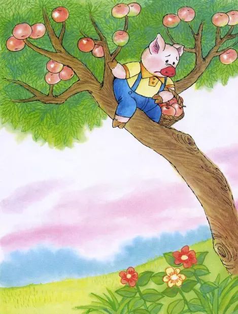 猪上树照片动漫图片