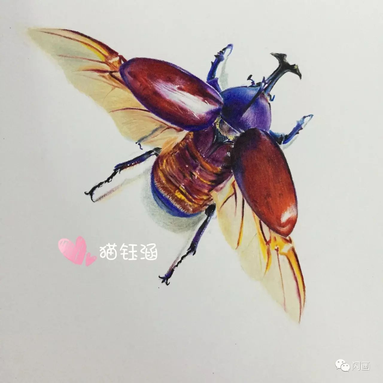 铅笔作品:98(临摹)作者:迪宝儿感悟:第一次画带毛的东东,用时30